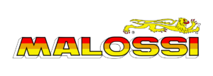 MALOSSI ロゴ